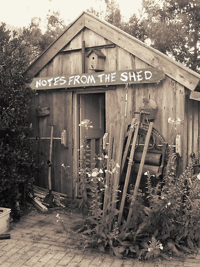 Shed